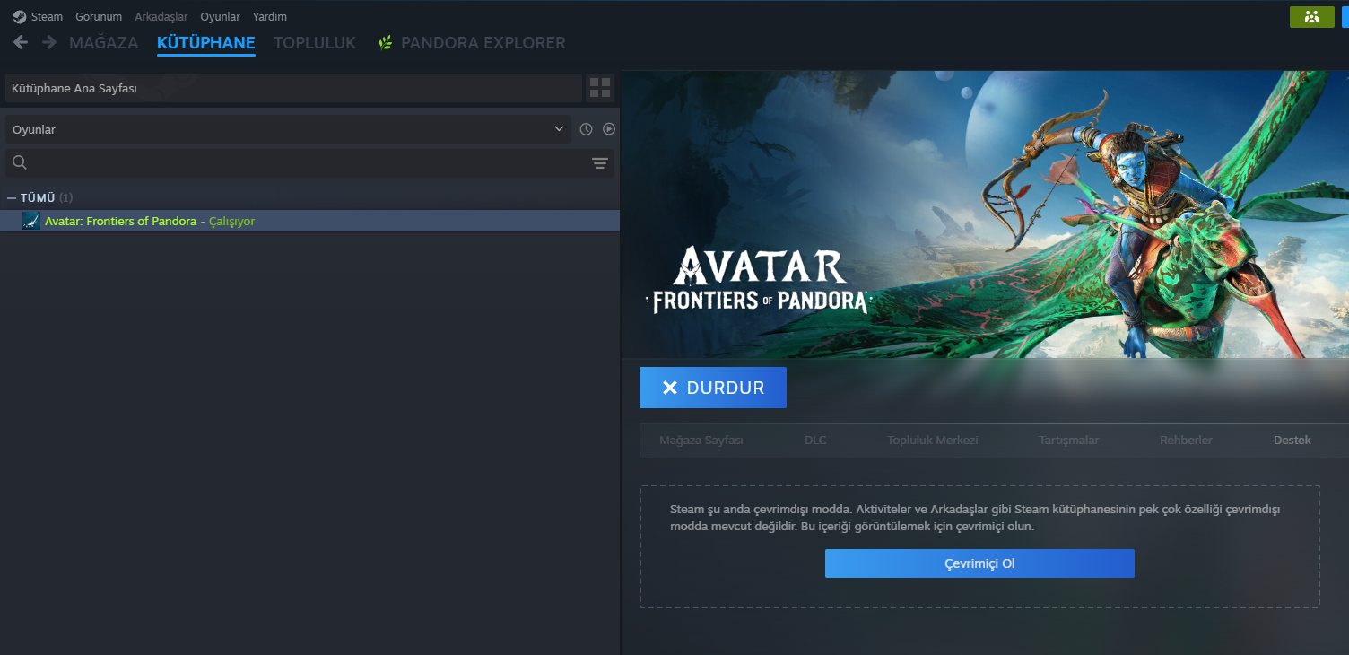 Game running in Steam